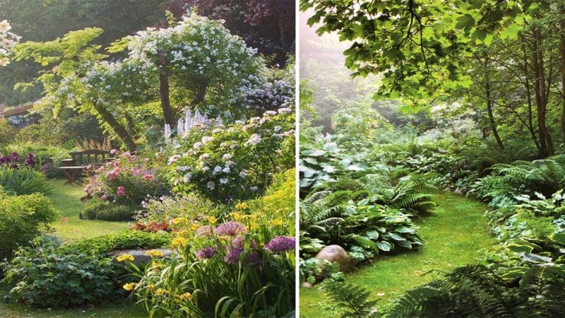 A Symphony of Green: Exploring the Harmonious Relationship Between Garden and Trees