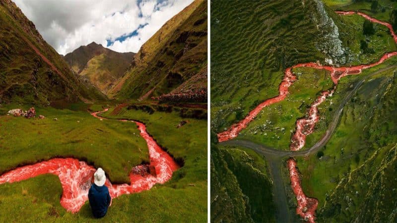 Exploring the Beauty of the Red River in Cusco: An Unmissable Destination in the Sacred Valley of Peru