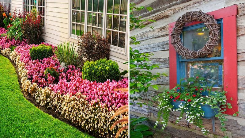 Fantastic Ideas for a Blooming Garden Outside Your Window