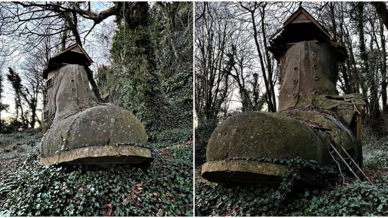 Boot House Discovery in UK Woods: The Real-Life Inspiration Behind the Old Woman Who Lived in the Shoe Nursery Rhyme