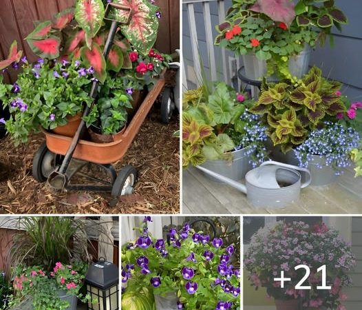 Creative Ideas for Shade Container Gardens