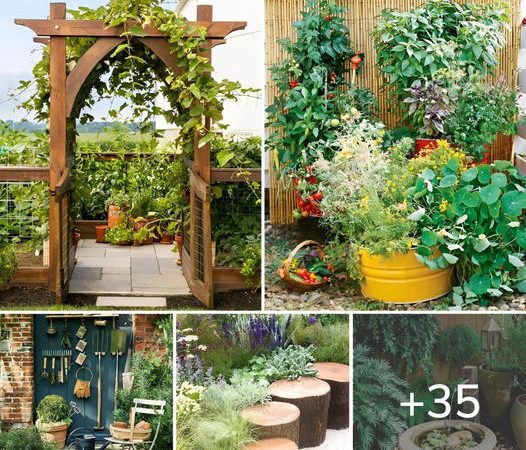 35 Whimsical Ideas That Will Elevate Your Garden To New Heights