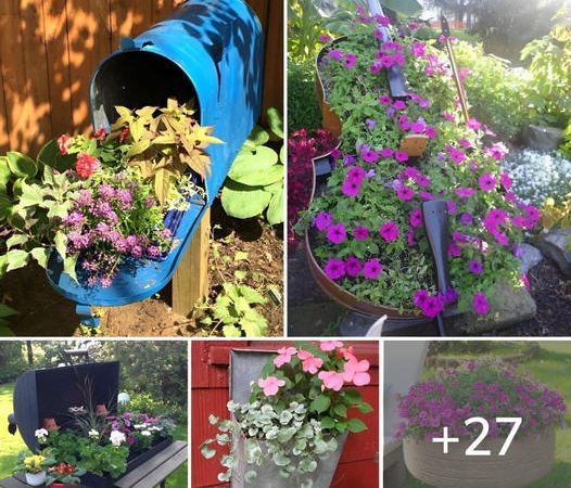 27 Easy-to-make Planter Ideas