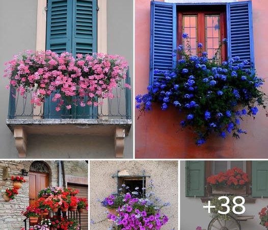 38 Gorgeous Flower Arrangements to Enhance Every Corner of Your Home: Doors, Windows, Stairs, and the Enchanting Terrace ‎