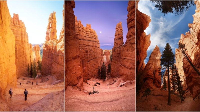 Ancient Stories Carved in Stone: Discovering the Geologic History of Bryce Canyon