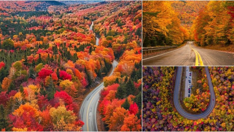 Scenic Adventure Along Kancamagus Highway, New Hampshire