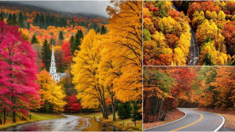 Beautiful View of Autumn in Georgia 🍂